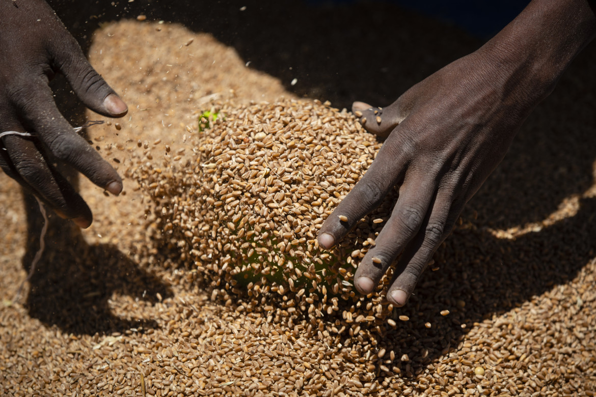 Etiopia alla fame : le ragioni di una crisi complessa