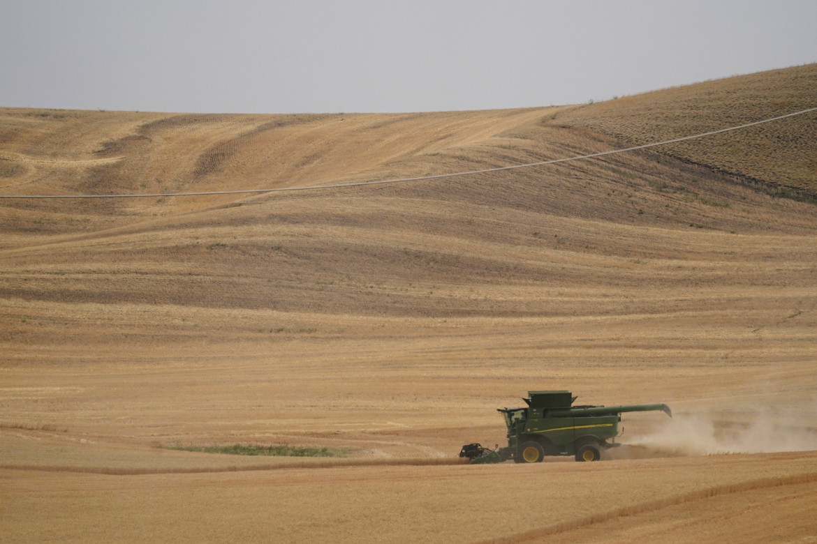 Balzo dei prezzi delle materie prime agricole