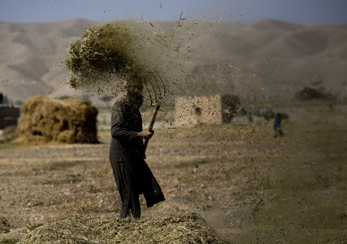 La vera transizione ecologica  in agricoltura è anche sociale