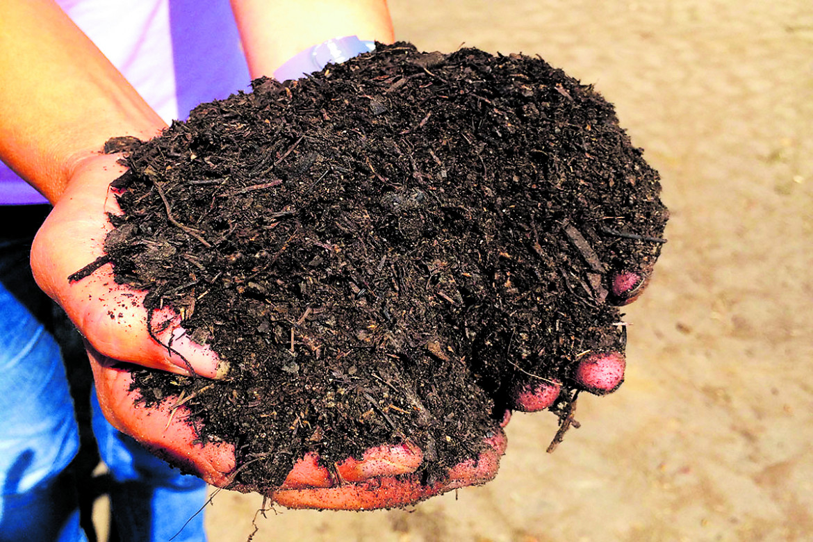 «Compost, la soluzione è naturale»