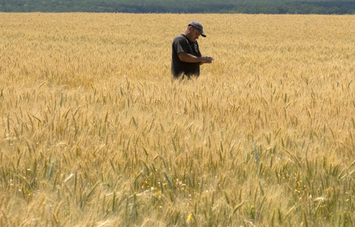 «Assurde le scelte politiche di investire in armi anziché in agricoltura»