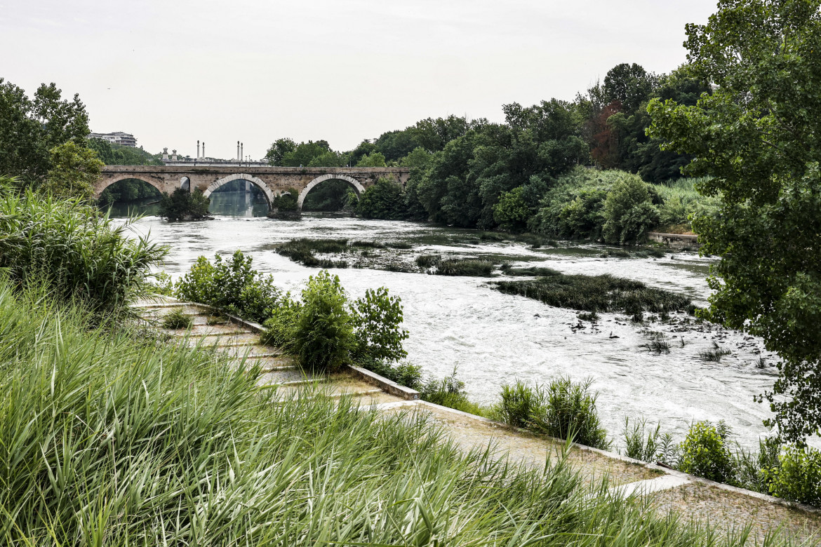 Patuanelli: evitare guerre per l’acqua