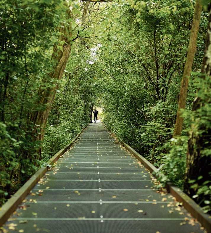 La natura urbana berlinese in un parco delle meraviglie