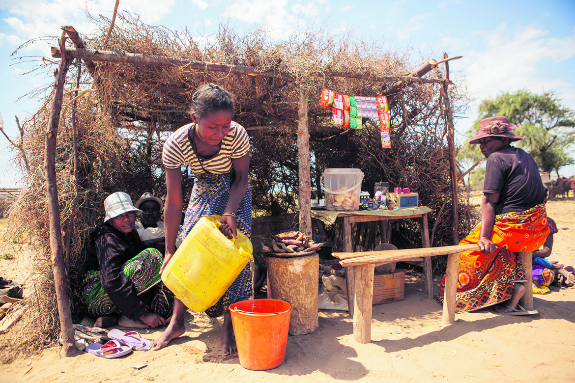 «Diocesi verdi» in Madagascar, alberi per sfuggire alla siccità