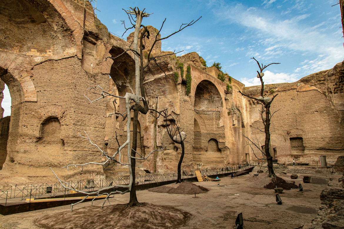 Alberi fra le rovine, ipnotiche presenze