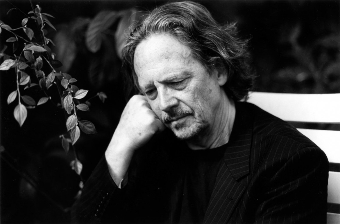 Peter Handke e il demone del linguaggio tra apprendistato, giochi e possessione