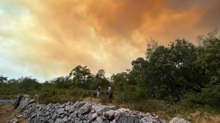 Friuli, volontaria muore schiacciata da un albero