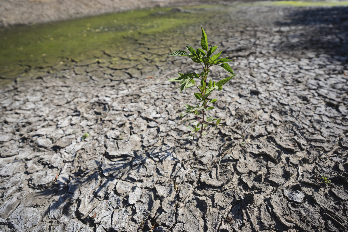 Le nostre proposte contro il silenzio elettorale sul clima