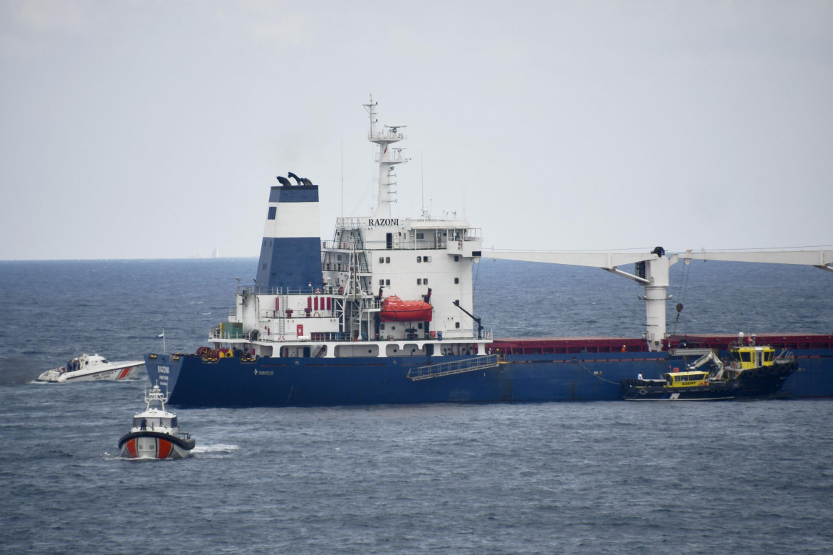 Grano, nuove navi nel Mar Nero. Ma la fame globale non finisce