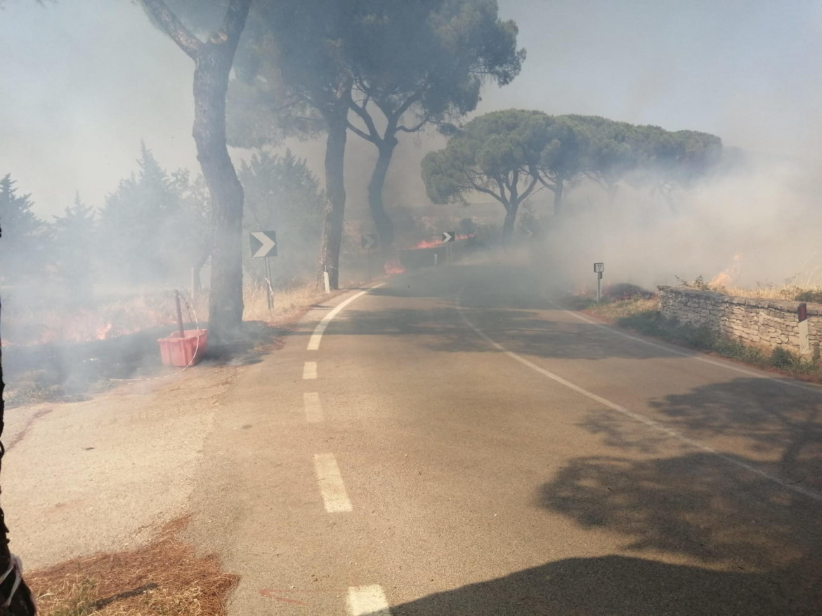 Fiamme da nord a sud,  record nell’Ue