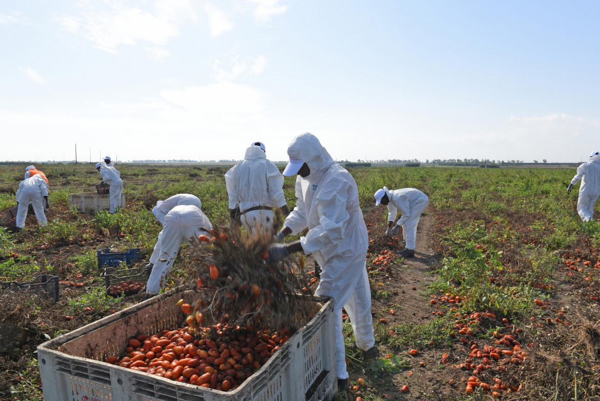 «Mai così dura per i braccianti per loro meno lavoro e diritti»