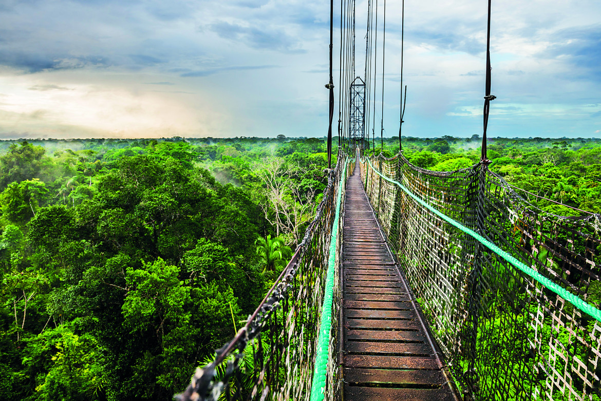 Un respiro di sollievo per l’Amazzonia