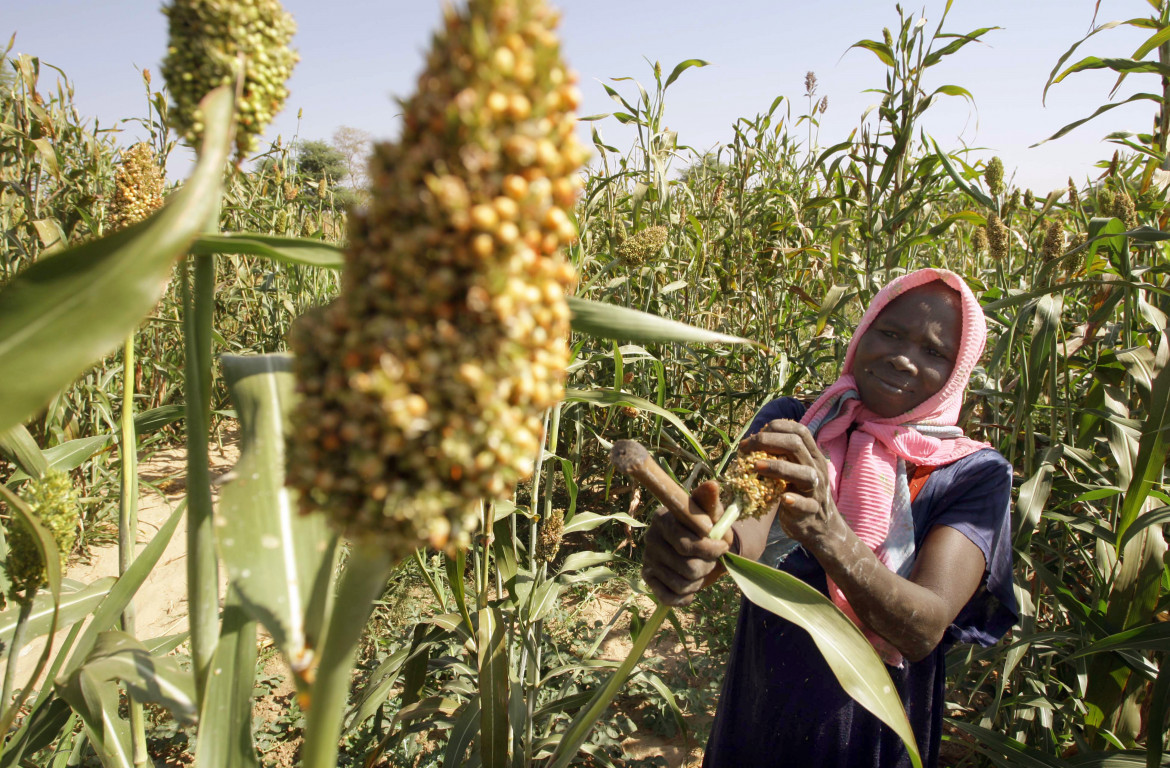 Contro l’insicurezza alimentare dell’Africa, non aiuti ma buon uso delle risorse interne