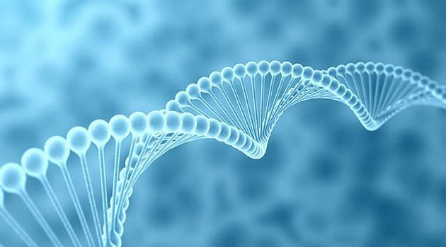 Crispr, una piattaforma versatile per correggere gli errori del Dna