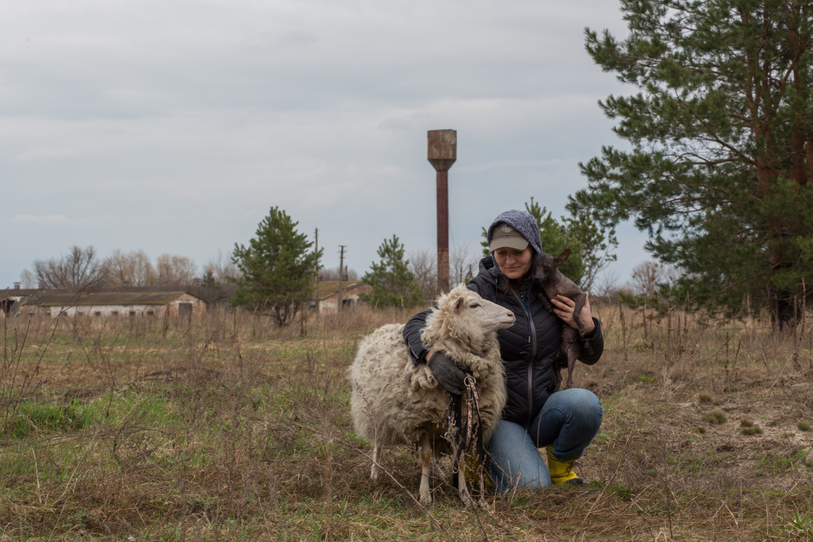 La fattoria di Tanya al tempo dell’occupazione russa