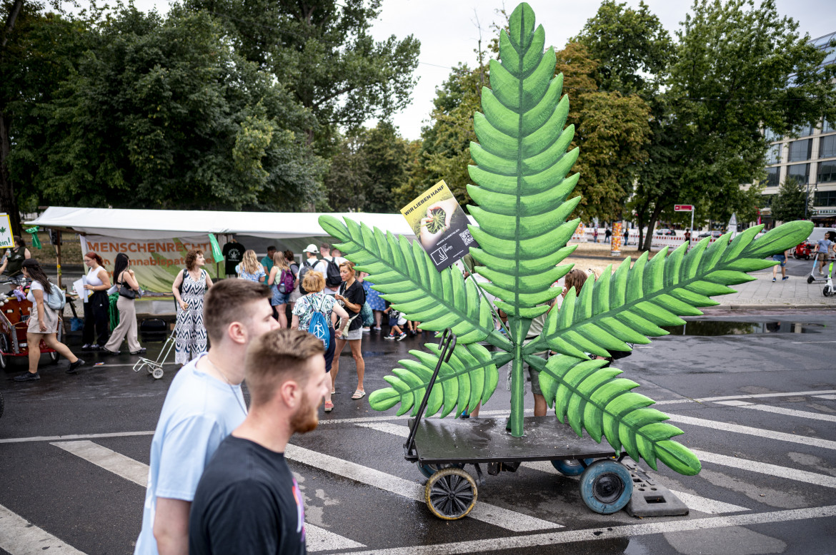 Cannabis, legale è meglio. In Germania inizia il percorso