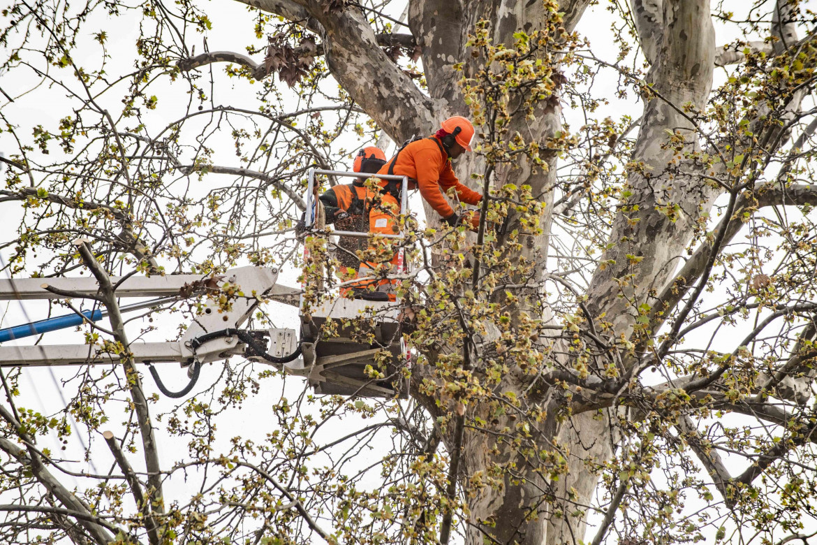 Due morti e un ferito grave: potavano alberi al golf club