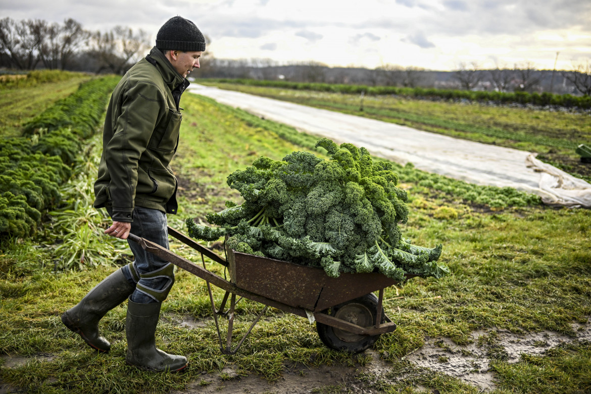 La sfida ecologica è agricola