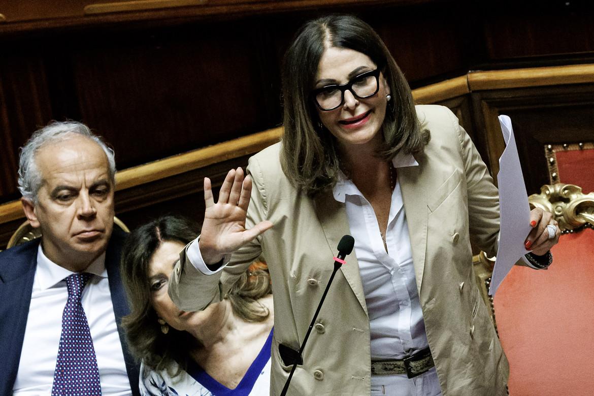 Daniela Santanchè durante l'informativa al Senato foto Ansa