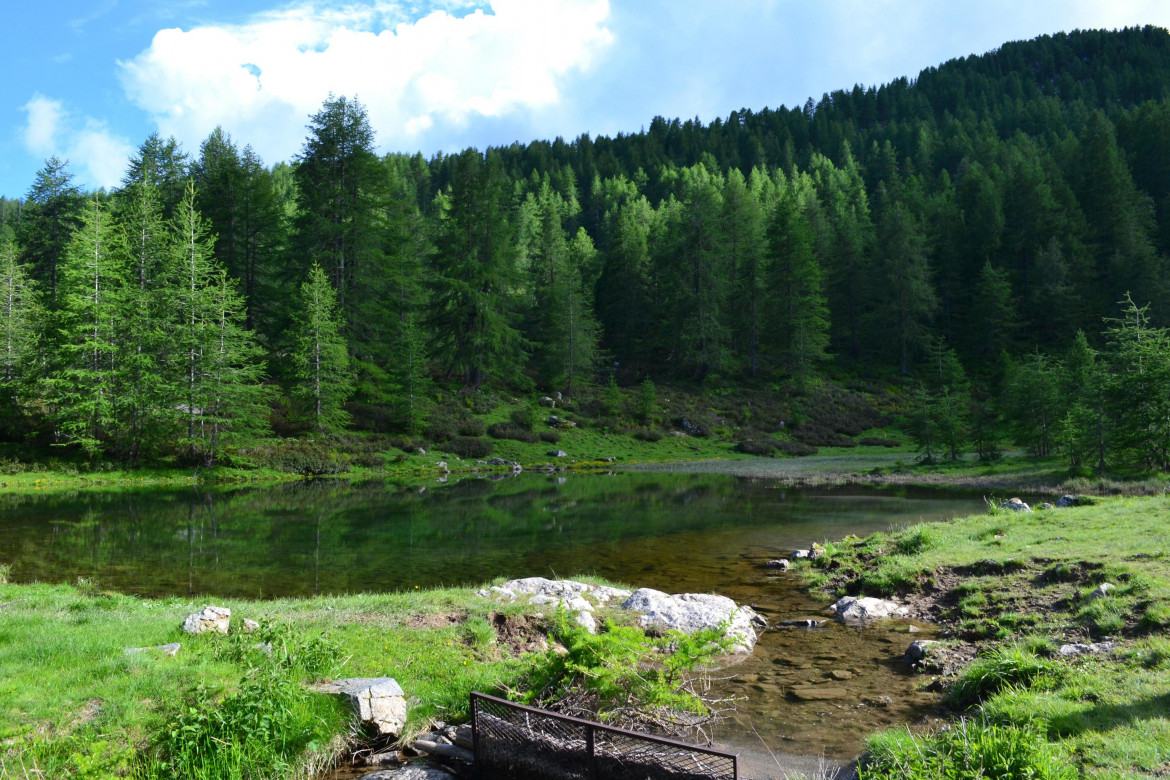 Una legge per difendere  la natura. Ma l’Italia si oppone