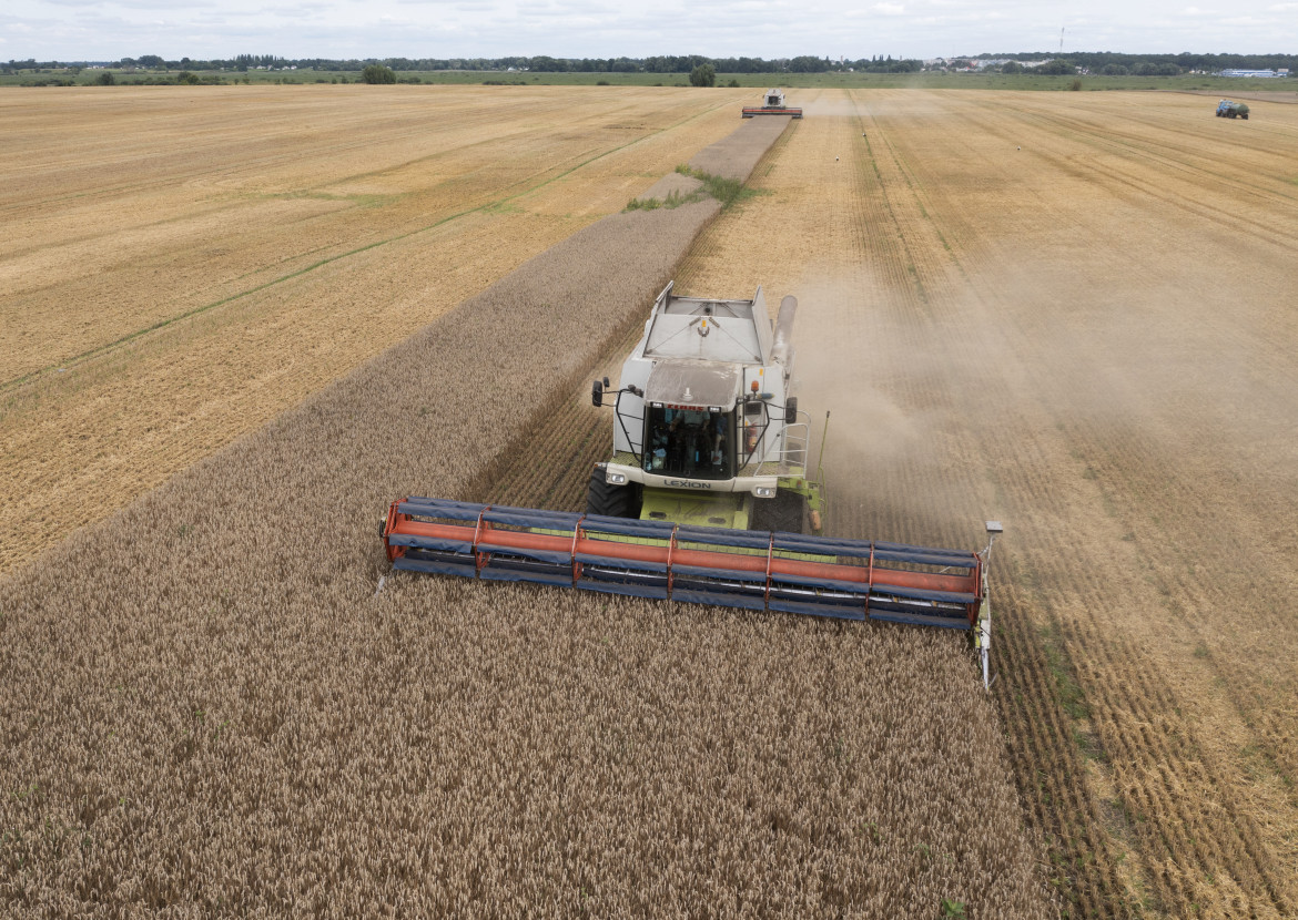 Grano, Mosca scatena la crisi e vende la soluzione