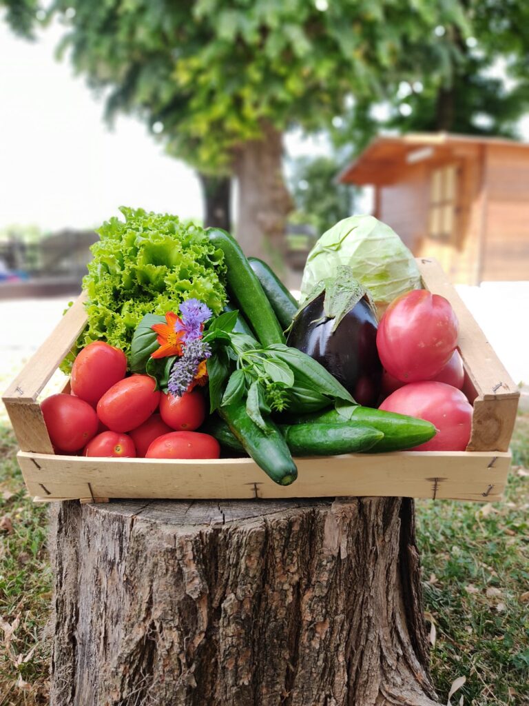 Chi sala piano va sano e lontano