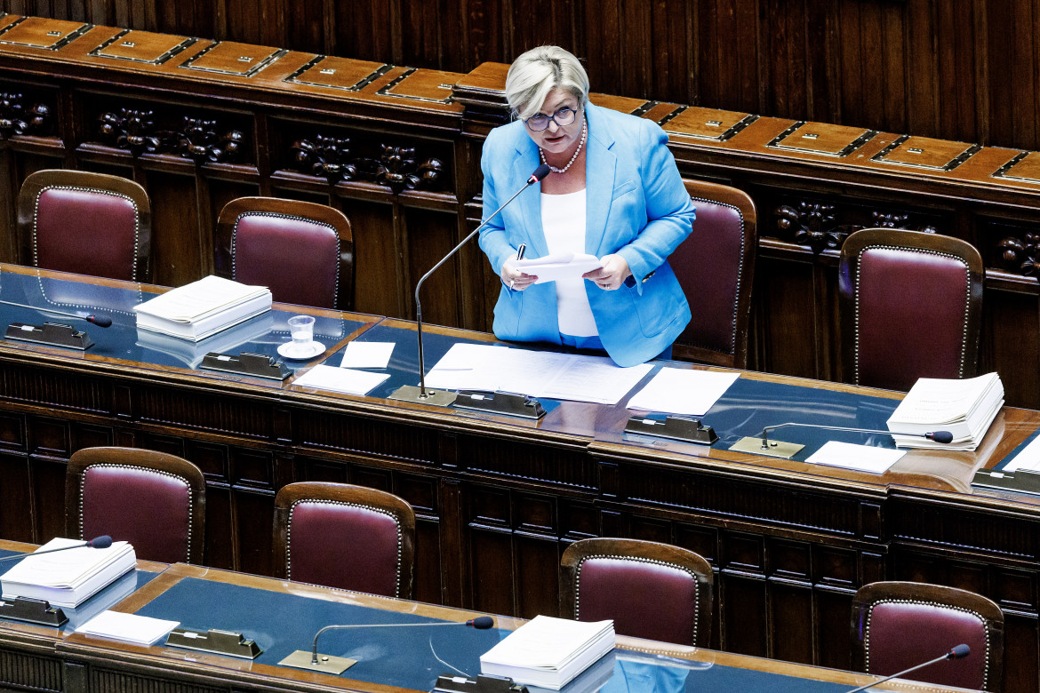 Reddito di cittadinanza, Calderone si difende: basta soffiare sul fuoco