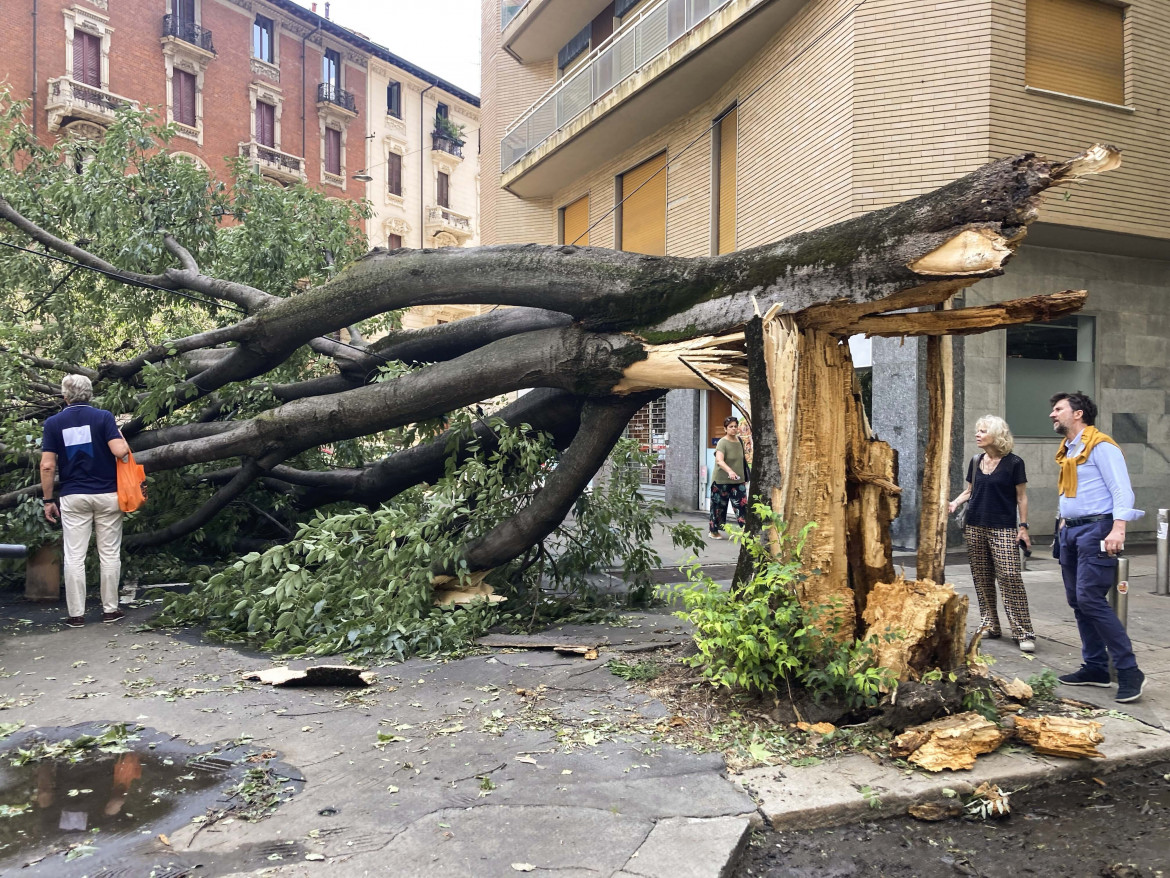 Clima, Pichetto Fratin nega il negazionismo del suo governo