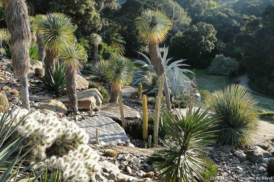 Attraversando il giardino-mondo