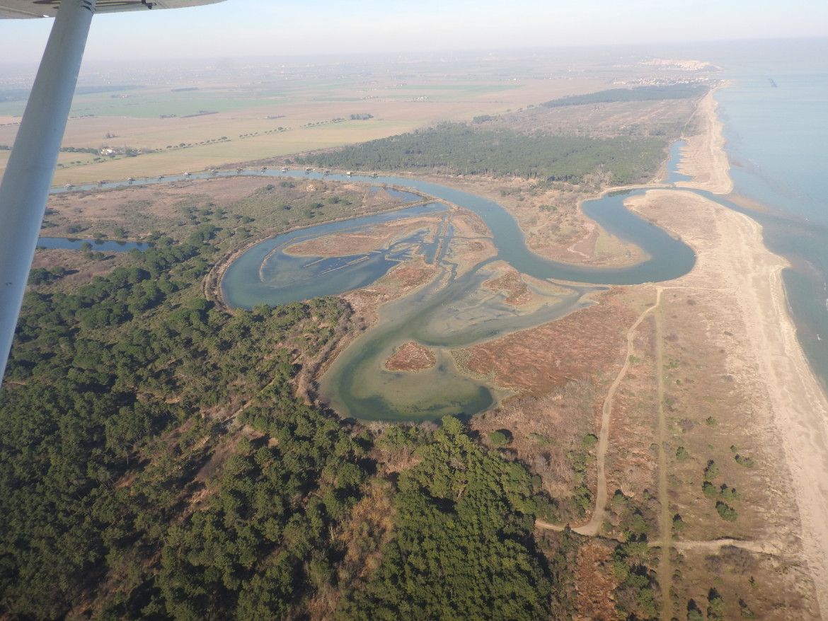 Fiume Po, foce di Bevano foto di Francesca Santarella