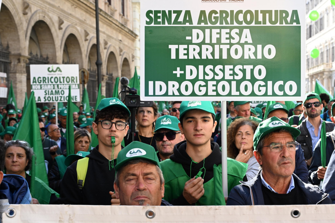 Agricoltori in piazza contro il governo: «Ci prende in giro»