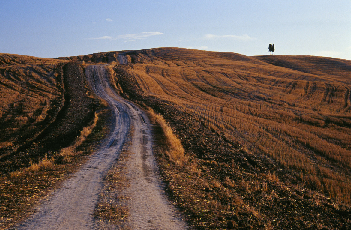 «Dobbiamo riconoscere e tutelare la bellezza del paesaggio rurale»