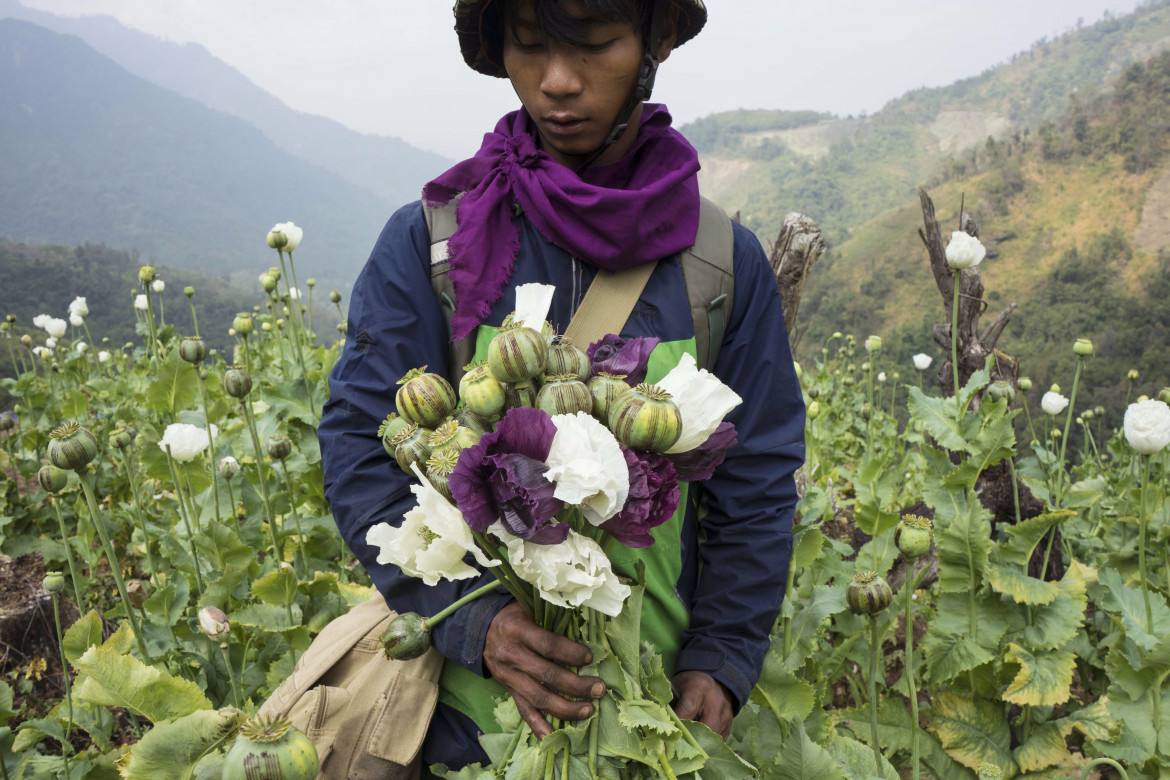 Myanmar, la nuova patria dell’oppio