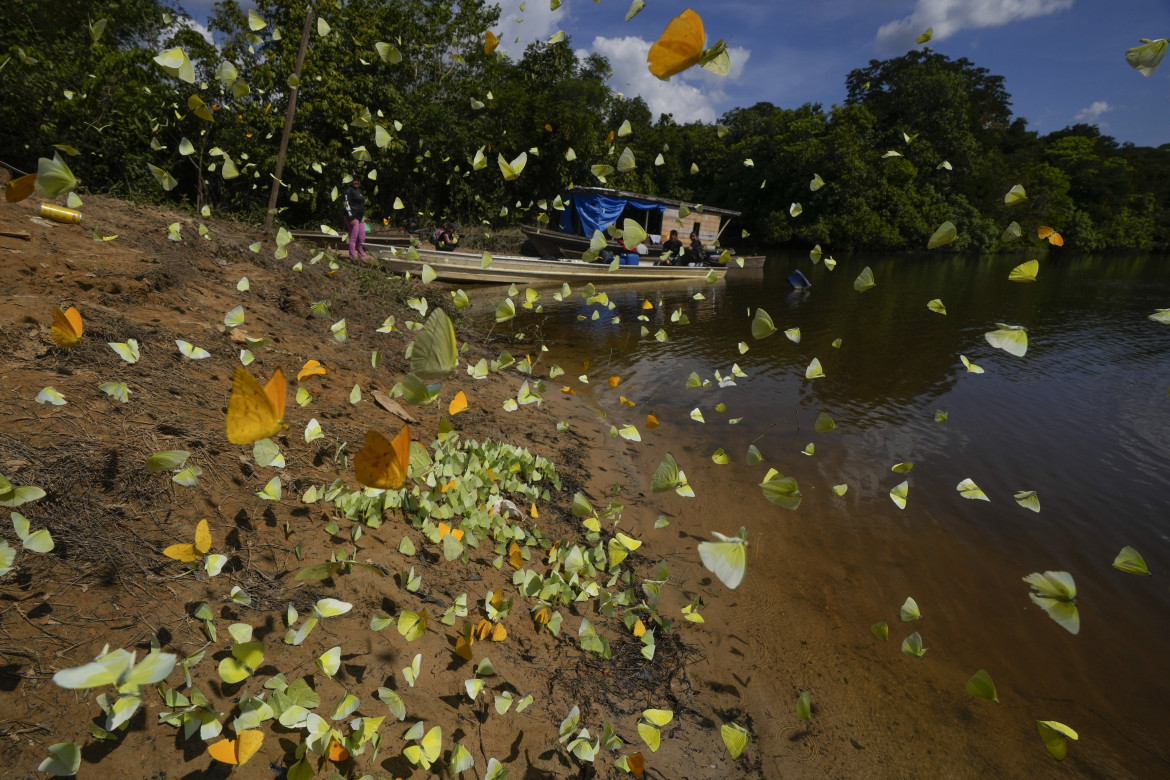 Brasile, terra liquida e immaginifica