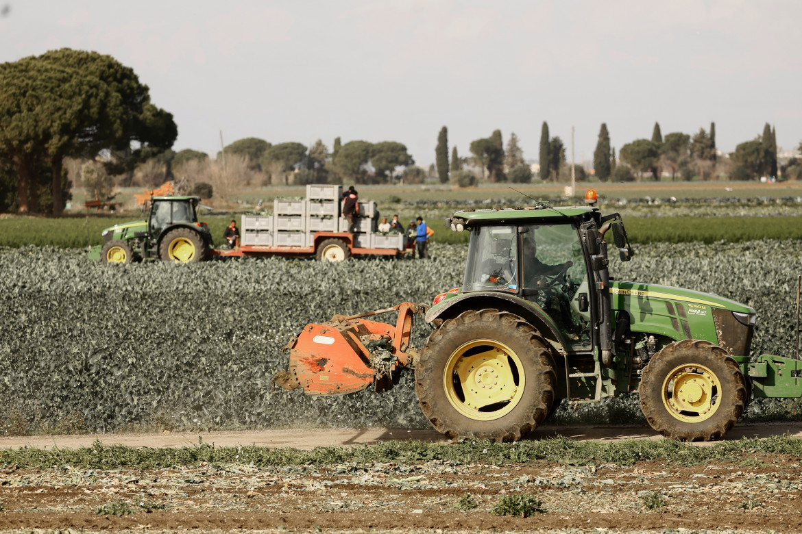 Così l’Ue ha travolto l’Agricoltura Green