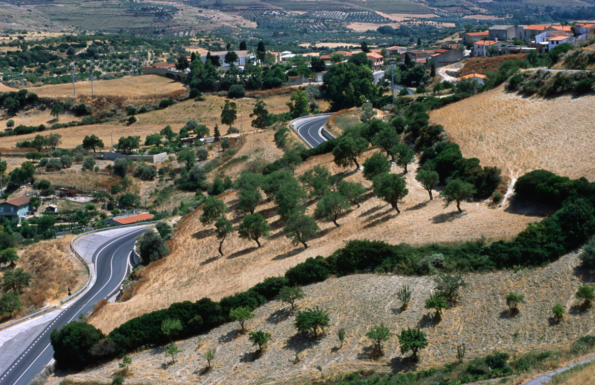 foto della campagna intorno alla Giara di Gesturi