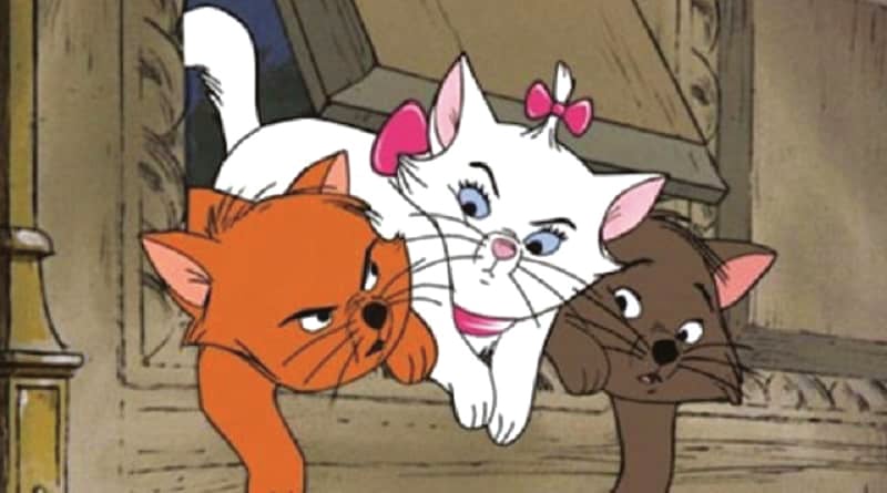 «C’era una volta una gatta», storie feline a fumetti