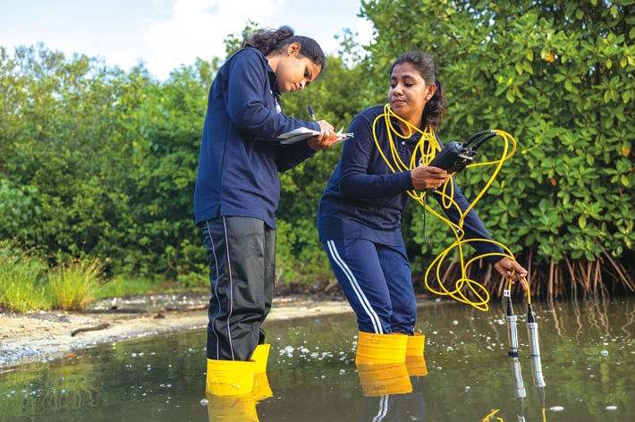 I migliori progetti per il ripristino degli ecosistemi