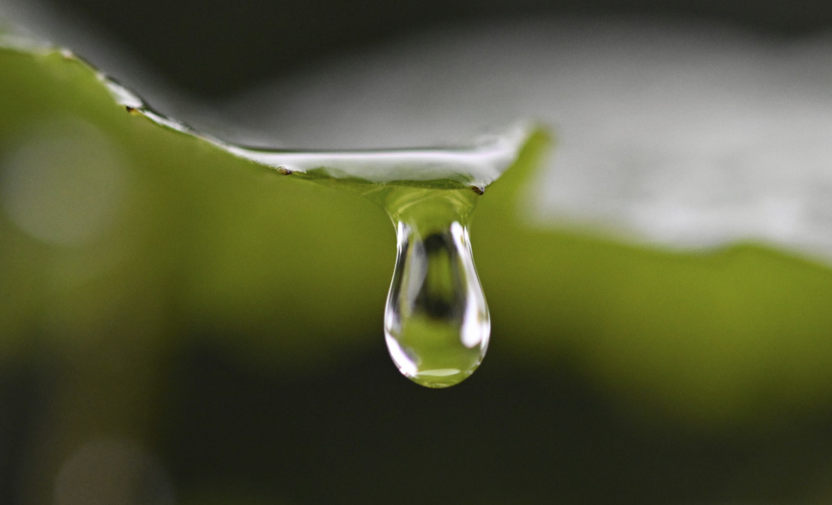 «L’acqua come strumento di pace e di prosperità»