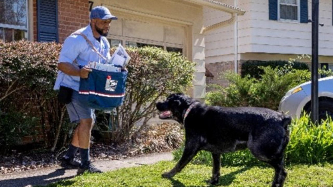 Se il cane morde  il postino