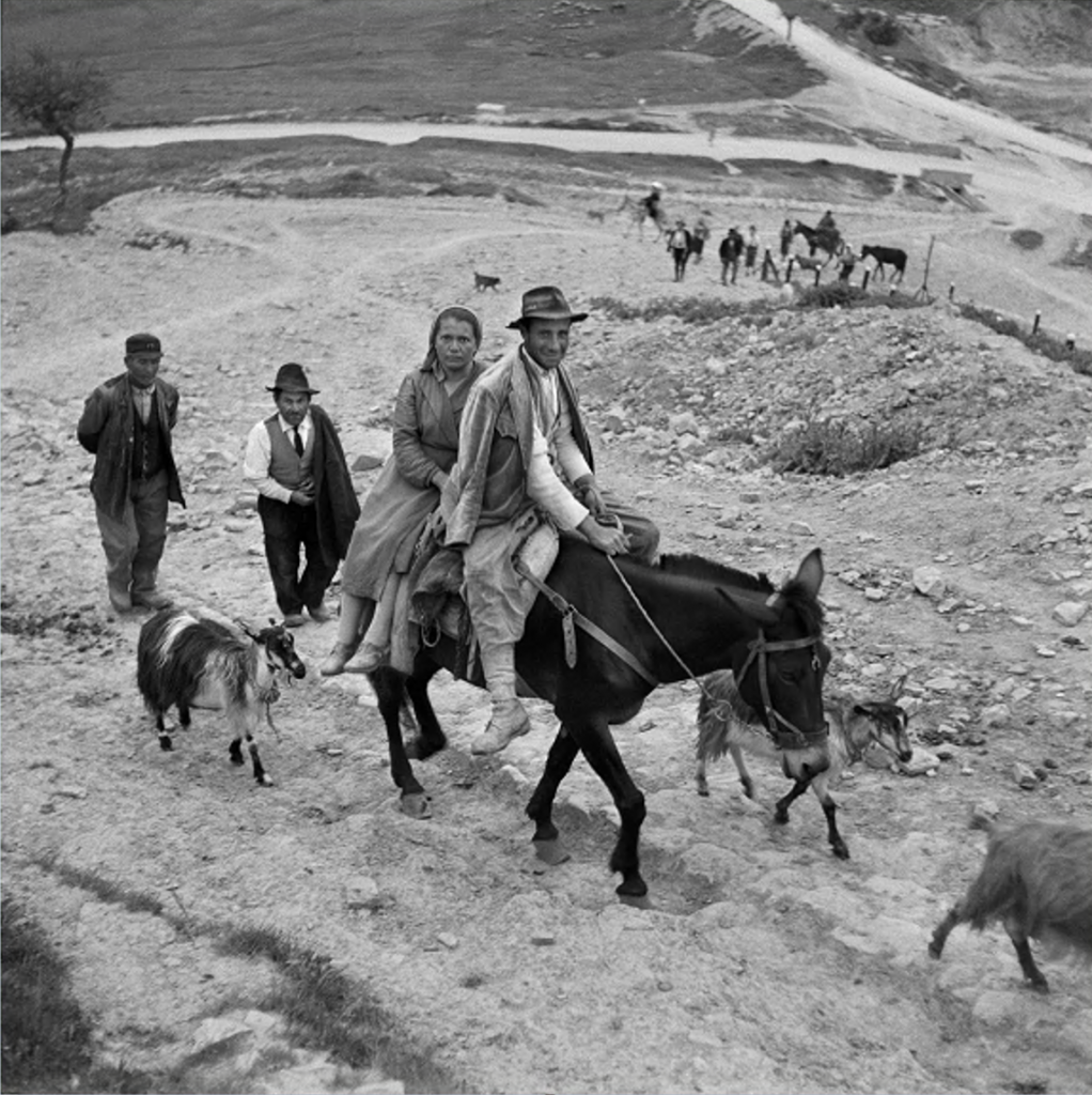 Lucania, 1957