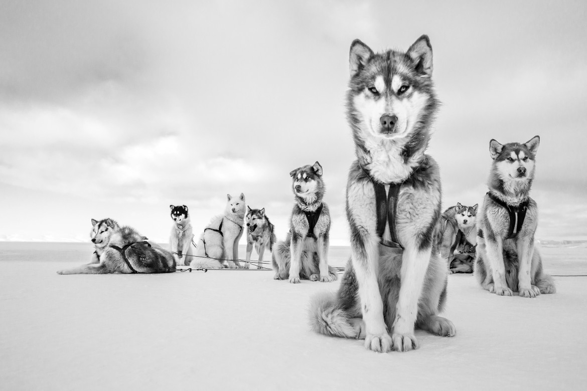 Fotografie sull’ecosistema globale e le culture altre del pianeta Terra