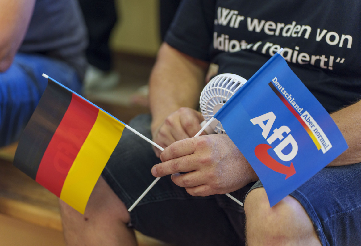 L’euroscettico AfD vuole fondare il partito europeo dei sovranisti