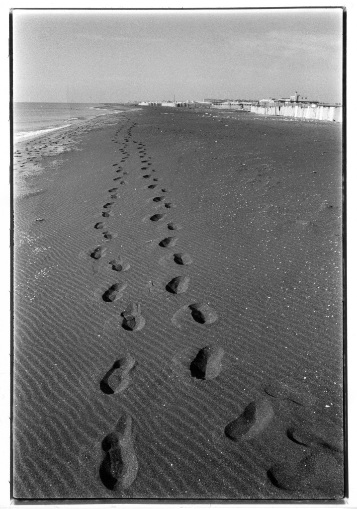 L’elefante sulla spiaggia