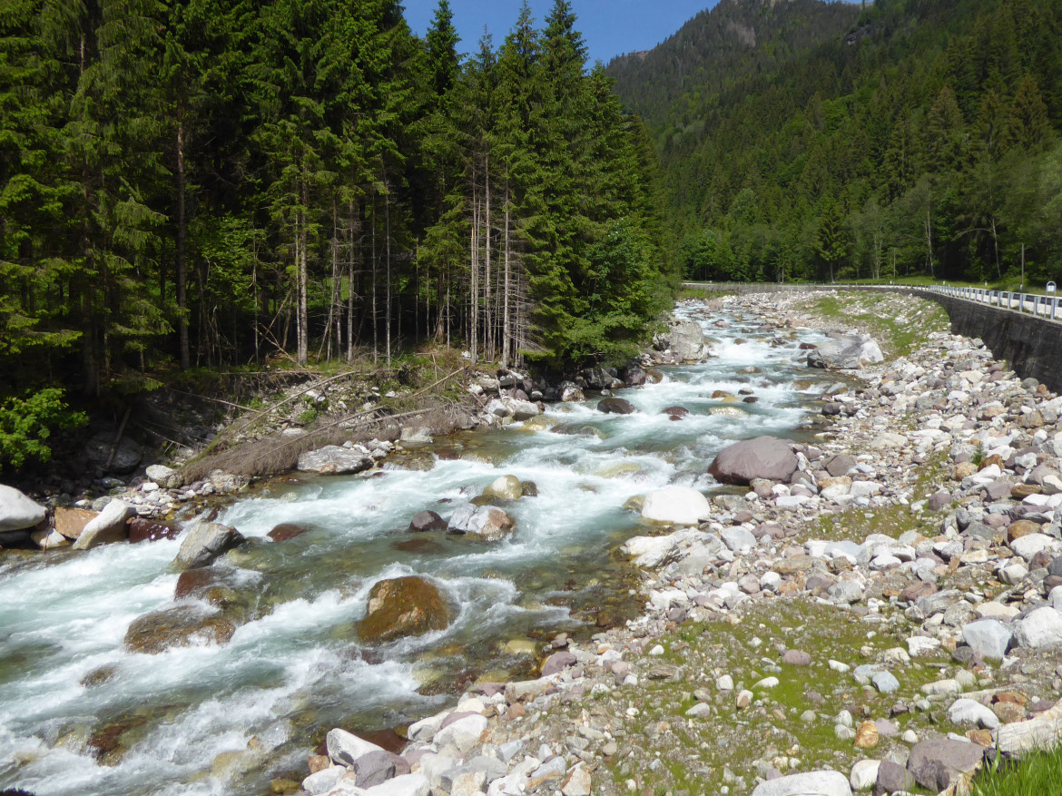 Il torrente Vanoi poco a monte della centrale idroelettrica di Caoria