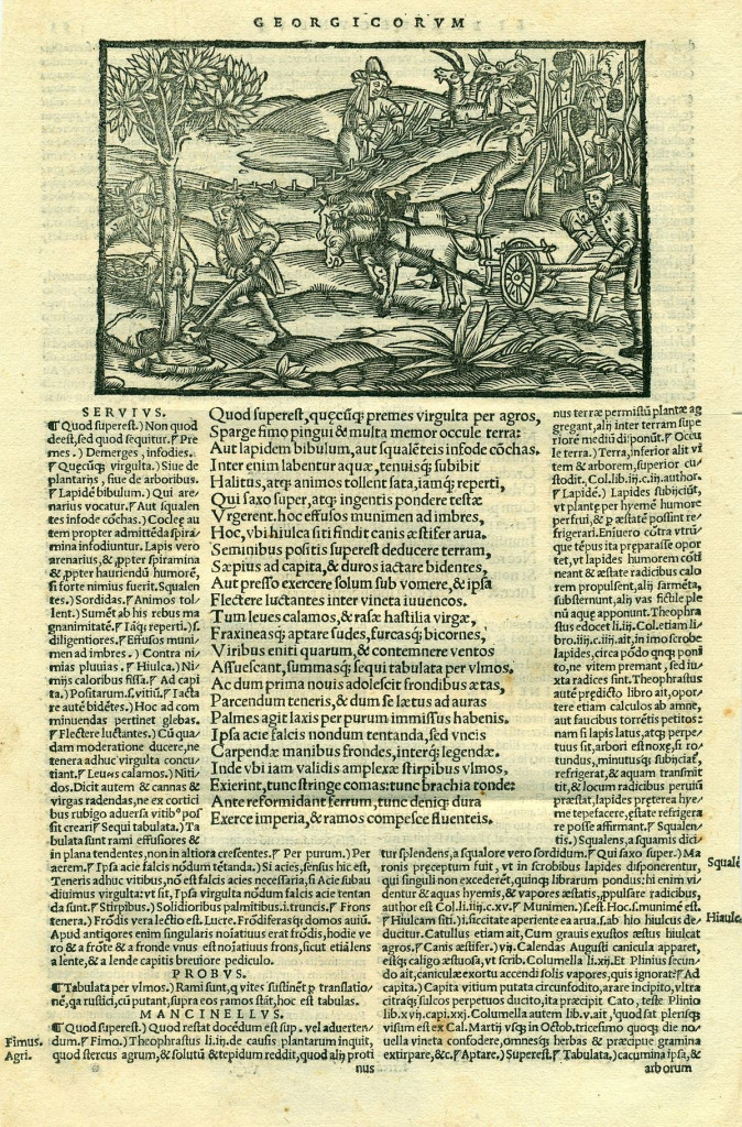 Da un’edizione delle opere di Virgilio (Bucoliche, Georgiche, Eneide) con il commento di Servio ed Elio Donato, Basilea, Hieronymus Curio, 1544