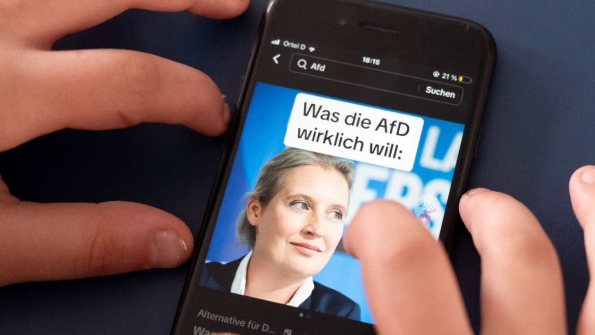 Campagna social della co-leader di AfD Alice Weidel