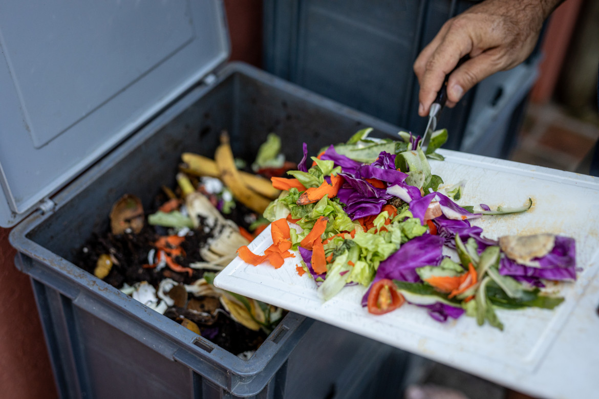 Scarti alimentari domestici foto Getty Images