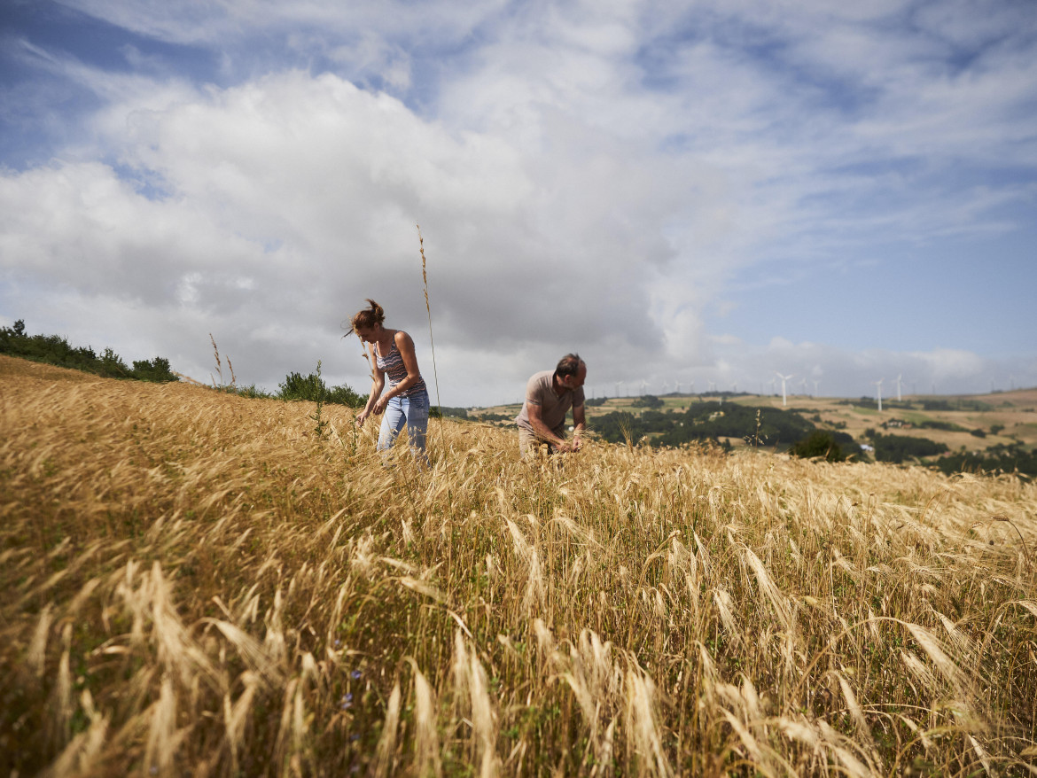 Agricoltori parte di Slow Food