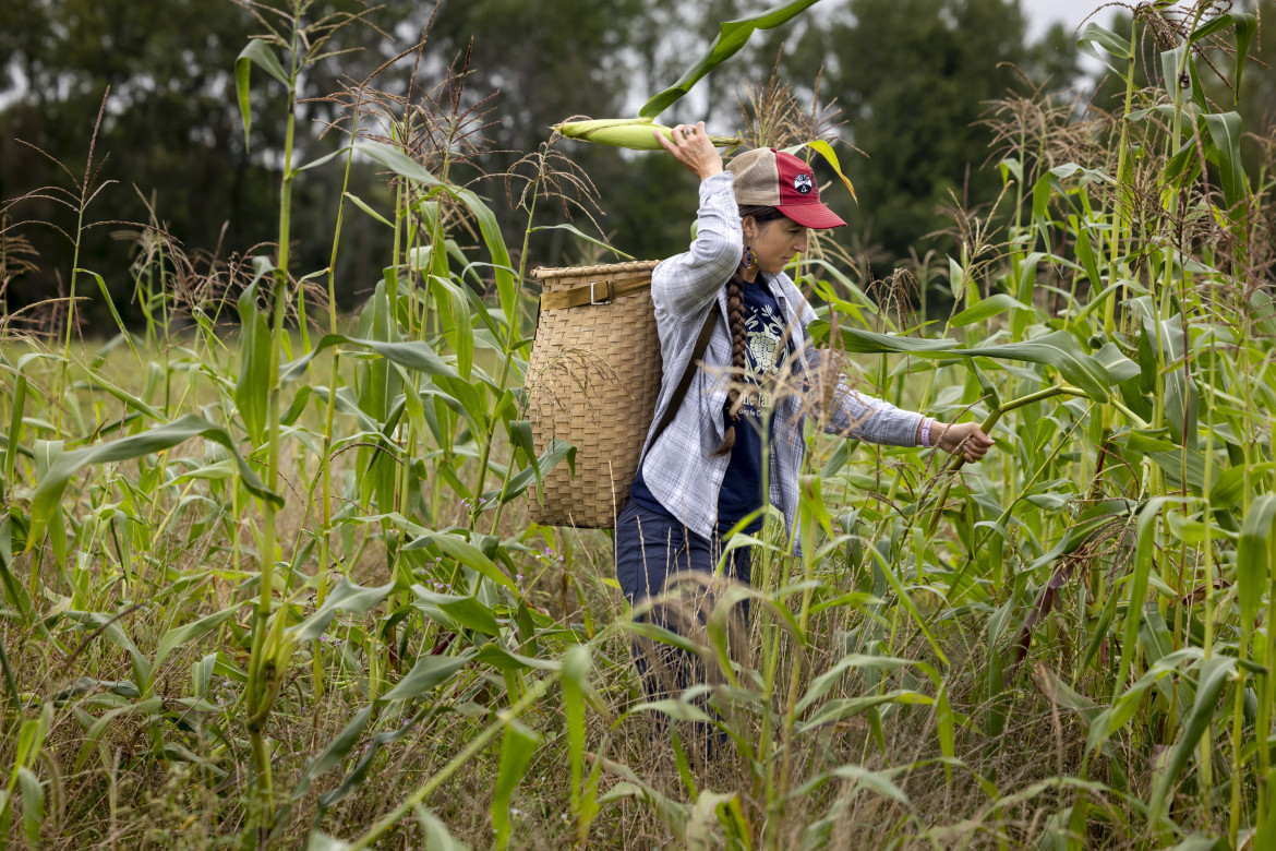 Il «campo largo» per il futuro dell’agricoltura europea